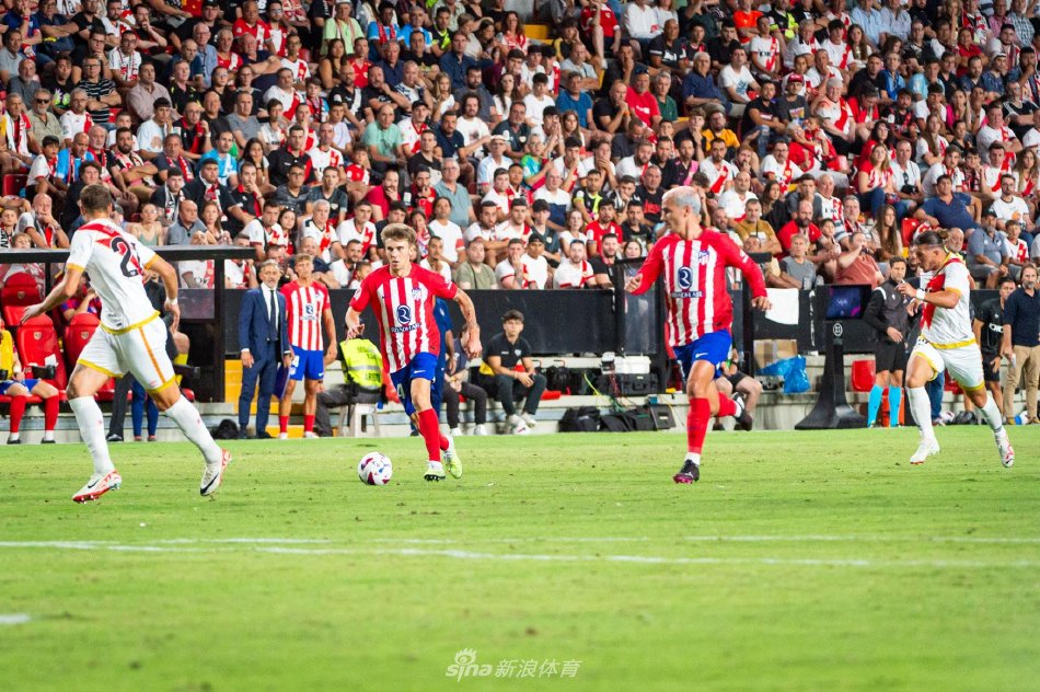 为你梳理E 为你梳理E