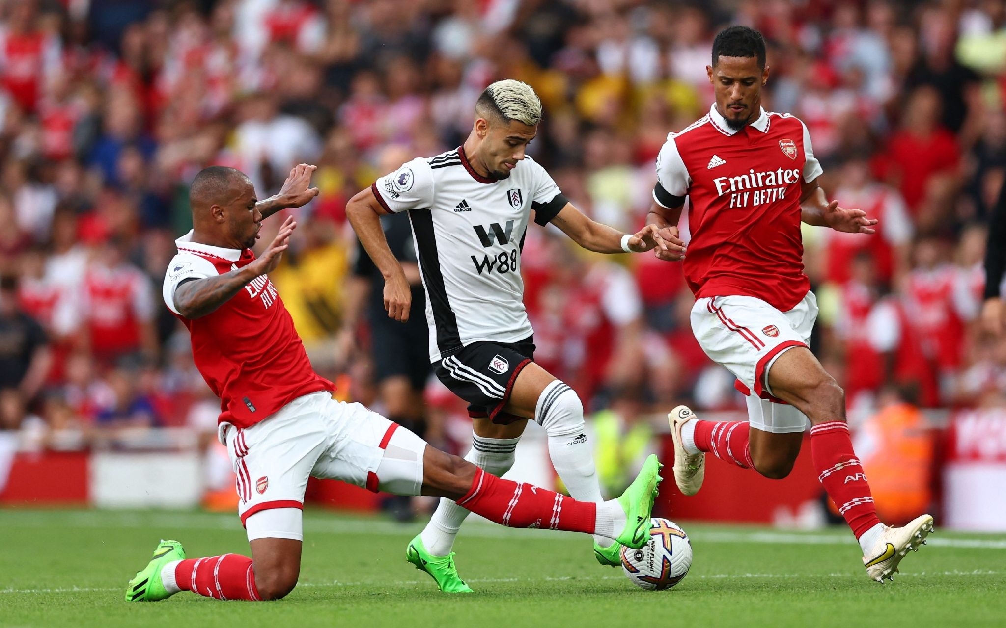 免地面临受 免地面临受